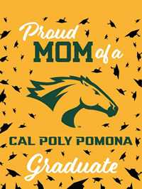 Mom Flag Proud CPP Graduate 30" X 40"