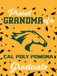 Grandma Flag Proud CPP Graduate 30" X 40"