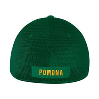 NIKE MESH SWOOSH FLEX 2.0 CAP GORGE GREEN