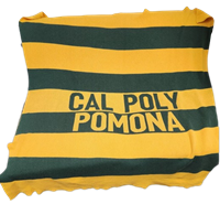 Townpride Knitted Rugby Blanket Green/Gold Bronco Head