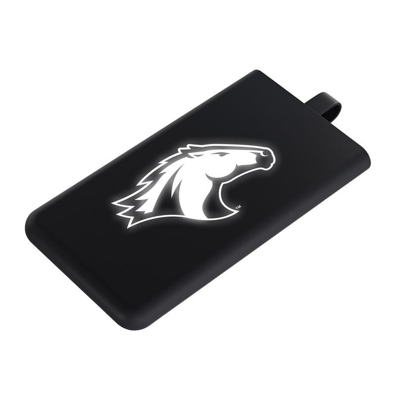 SCX DESIGN ALL-IN-ONE POWER BANK 3000 mAh | Bronco Bookstore