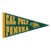 *New Item: Magnet Mini Pennant