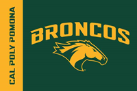 Mini Flag W/Gold Bar Right Broncos 12 X 18