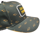 CAP STRUCTURED W/SUBLIMATED REPEATING BRONCO HEADS GOLD BILL