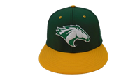  Cap Players Baseball CPP Dk Green