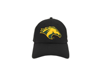 Cap Stretch Fit Twill Black