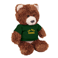 *New Item: Plush Bear Baxter W/Cpp Arch Tee Brown