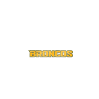 *New Item: Lapel Pin Broncos In Bronco Font