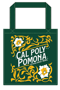 NON-WOVEN TOTE AMAZNG DSN W/GLD GUSSET 13"x12.5"x8" (2023) (LARGE)