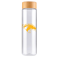 Tumbler W/Bamboo Lid Clear