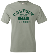 Dad Tee Arched CPP Over Broncos Stonewash Green
