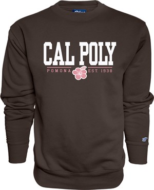 CREW FRESNEL CAL POLY POMONA HIBISCUS