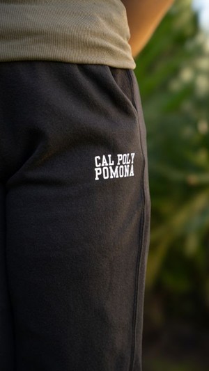 SWEATPANTS REVERSE FLEECE CPP GREY