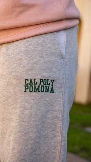SWEATPANTS REVERSE FLEECE CPP GREY