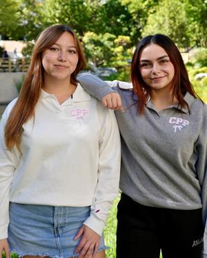 COLLARED CREW CPP OVER BOW GRAY