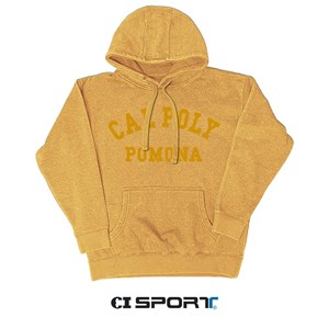HOOD CAL POLY ARCHED OVER POMONA TONAL